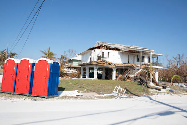 Trusted Winchester, CA Tree Removal Experts